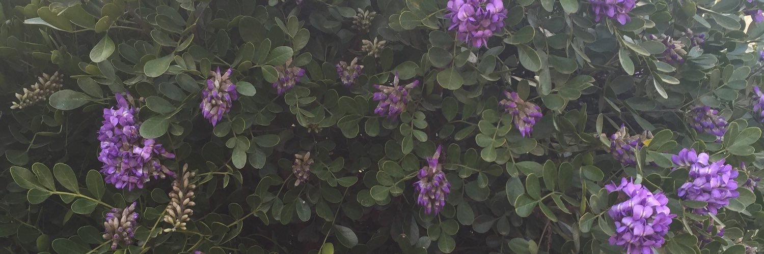 Momma_Jax's profile banner image