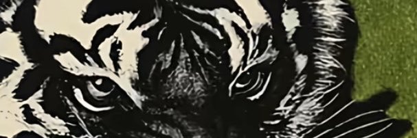 BabyAngelmsx's profile banner image