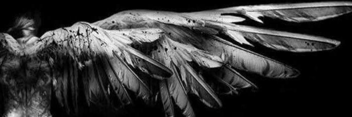glx2ui's profile banner image
