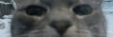 Barachielitry's profile banner image