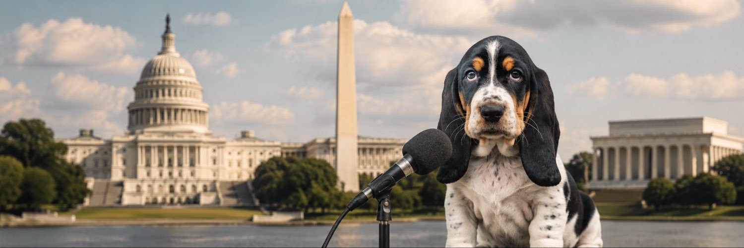 PiperNewshound's profile banner image