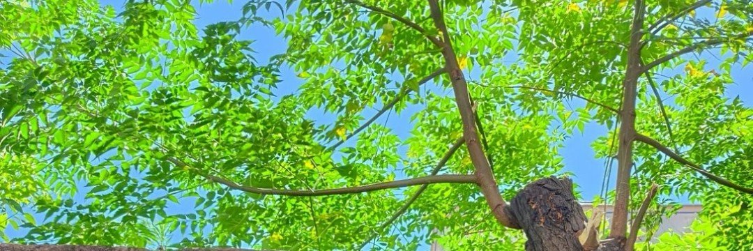 Kamerzeau's profile banner image