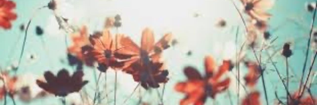 morganfuller201's profile banner image