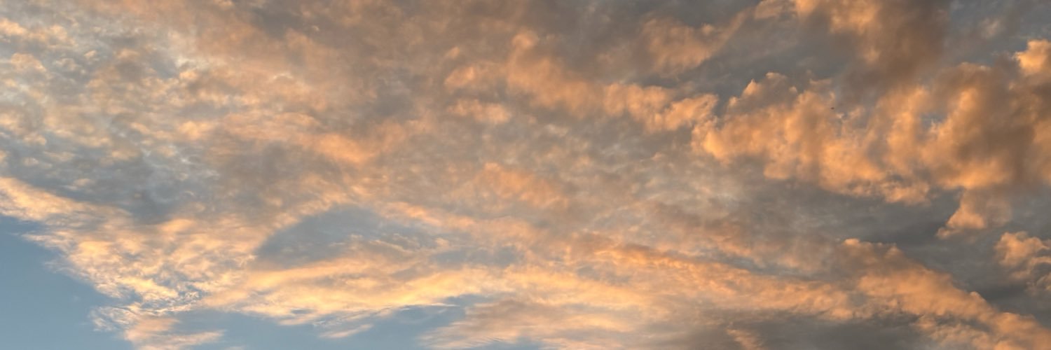 adoremyn's profile banner image