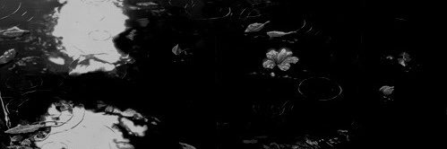 menorixqq's profile banner image