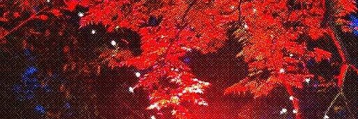 oshibaii's profile banner image
