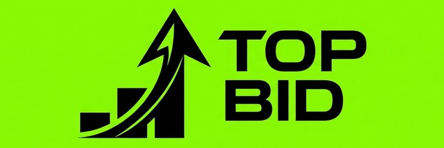 TopBidLearts's profile banner image