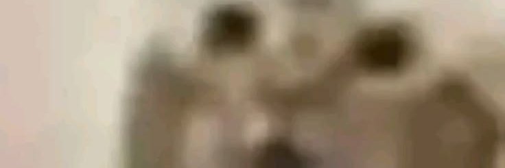 AGalaxyAlterer's profile banner image