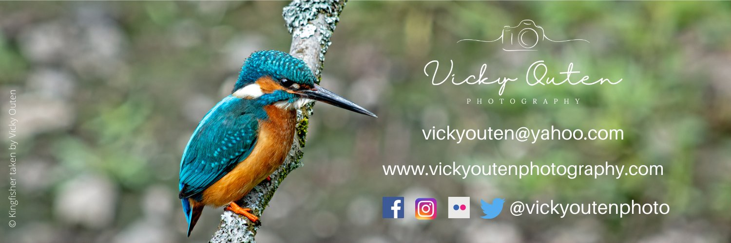 Vicky_Outen's profile banner image