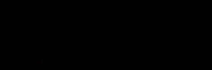 sabella_mller's profile banner image
