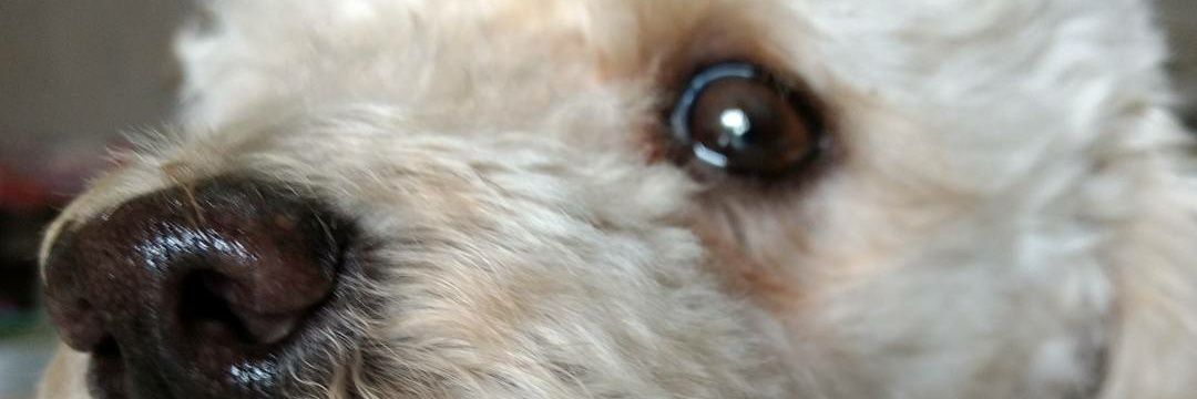 jimediazz's profile banner image