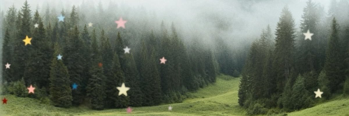 haertsonata's profile banner image