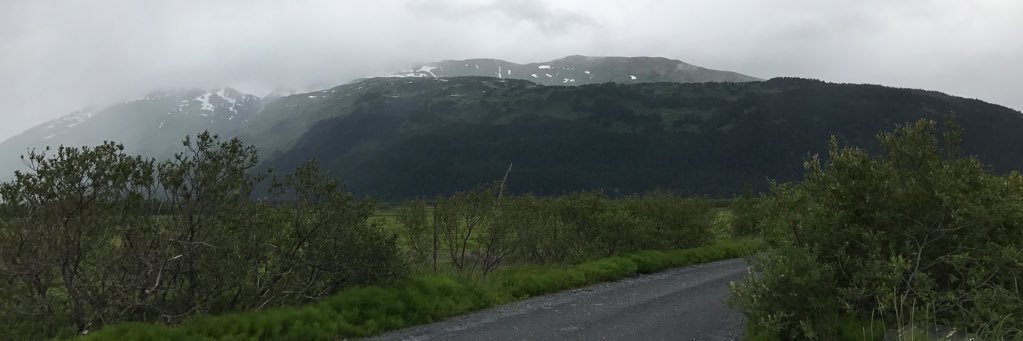 Matthew Maycock banner