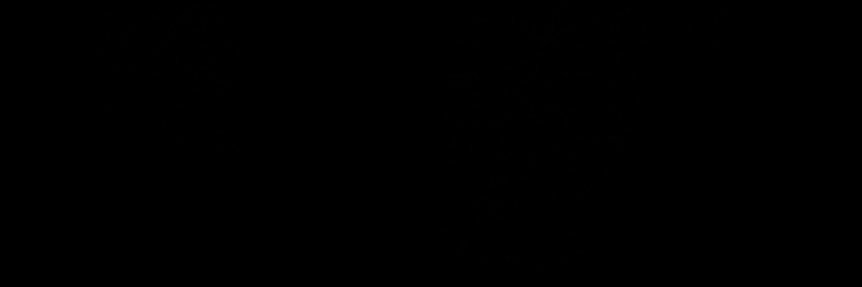 619rkoo's profile banner image
