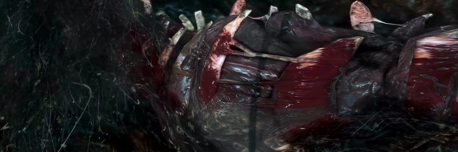 zgcdfp's profile banner image