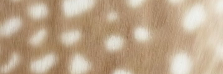 lildoedaughtr's profile banner image