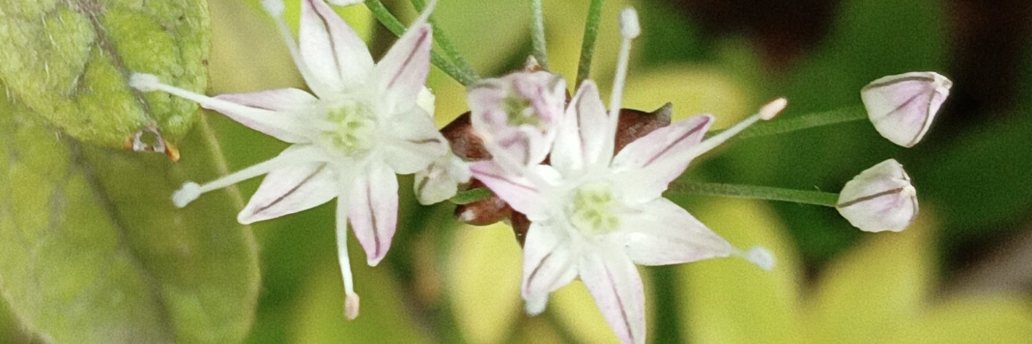 hdrjfi's profile banner image
