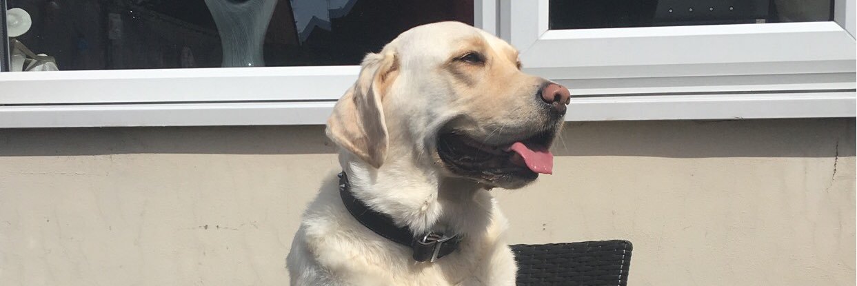 cantrell3's profile banner image