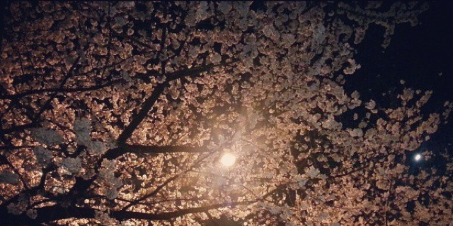 chicwoong's profile banner image