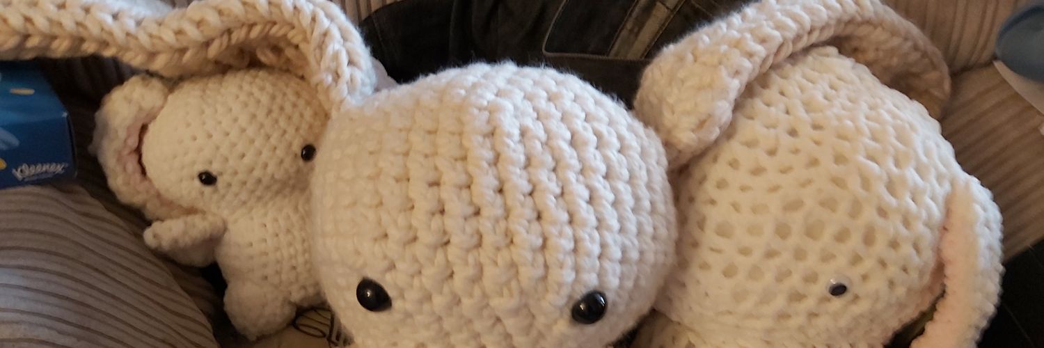 PFoz's profile banner image