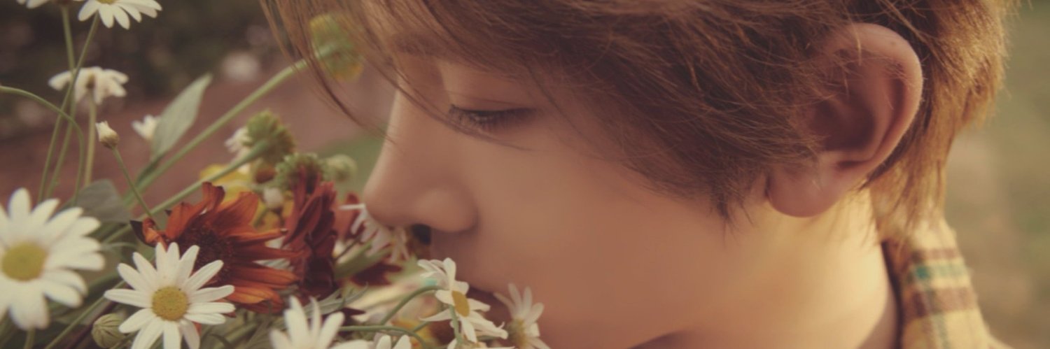 withloveever's profile banner image