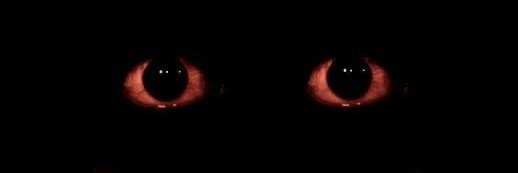 Zueki0c44's profile banner image