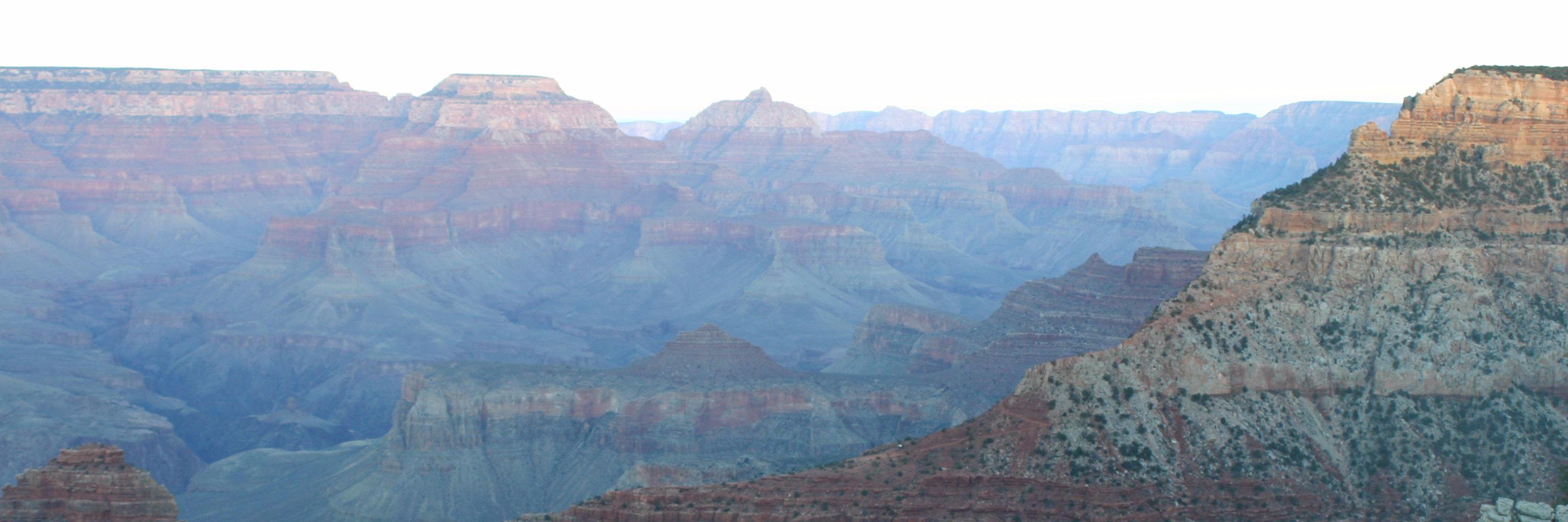 Christopher Riley banner