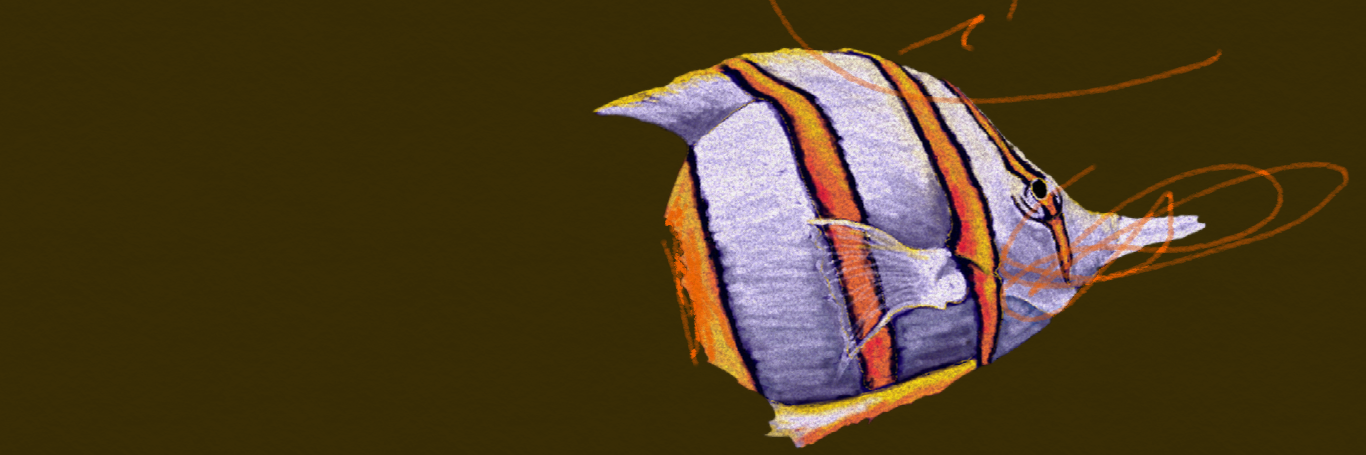 bobrodus's profile banner image