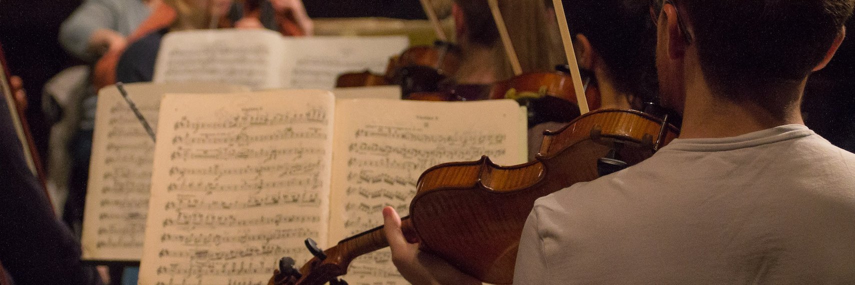SinfoniaTamesa's profile banner image