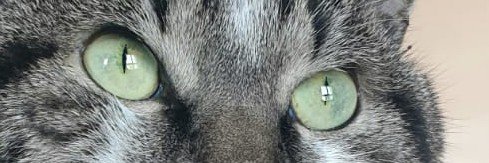 Poune37's profile banner image