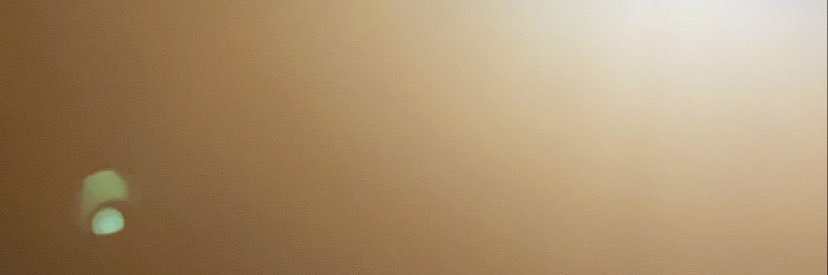 michelleardelia's profile banner image