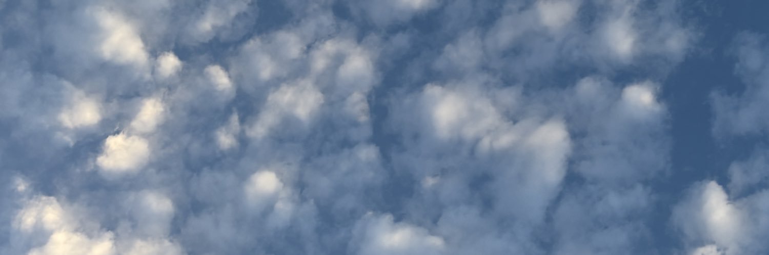 britnicoledavis's profile banner image