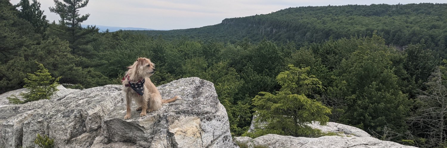 simplyweber's profile banner image