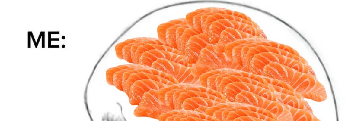 Salmon_BTC's profile banner image