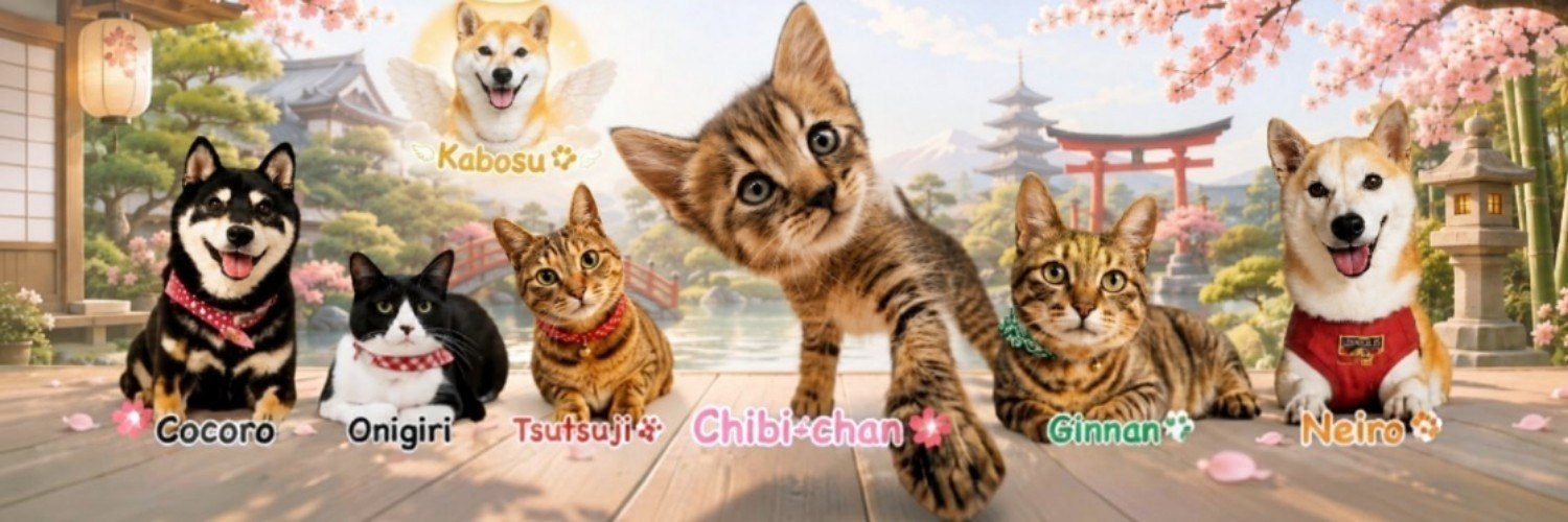 ChibichanSOL's profile banner image