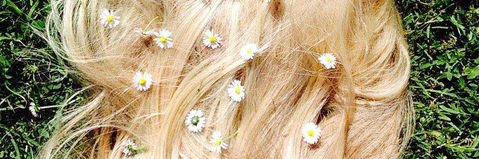 kittykata's profile banner image