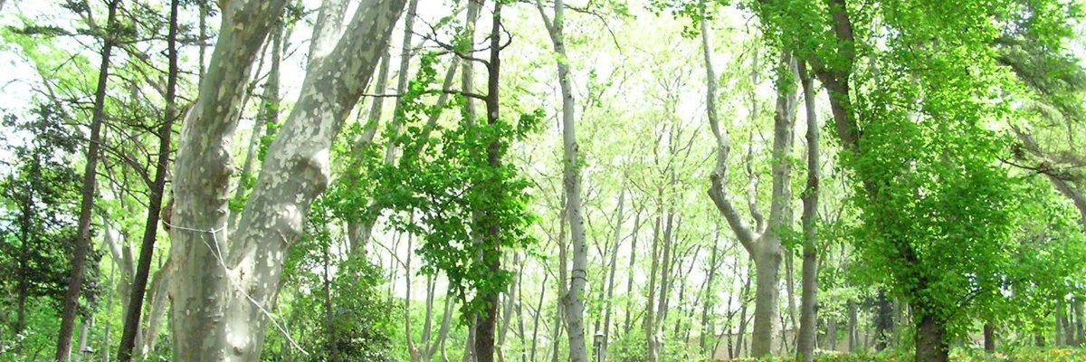 mcsspace's profile banner image