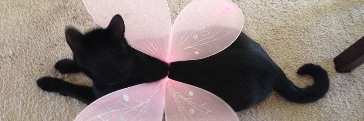 forg__tful's profile banner image