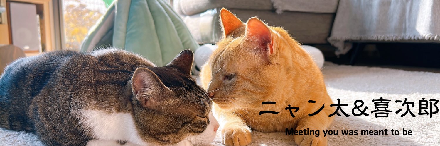 茶トラのニャン太とキジ白の喜次郎 banner
