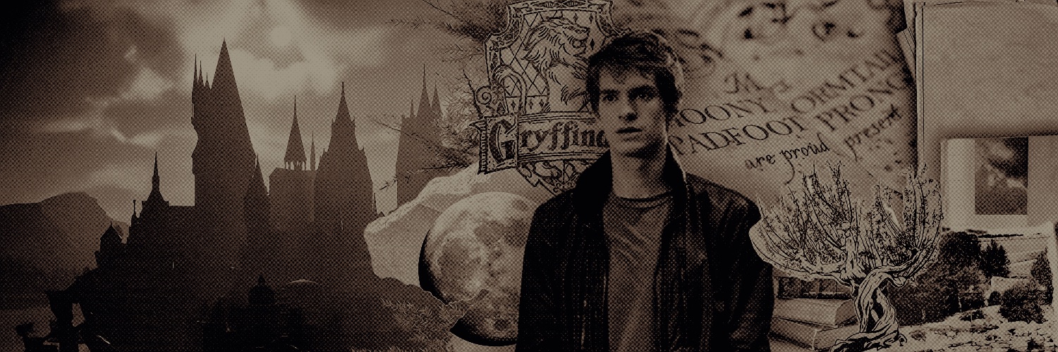 tuelupin's profile banner image
