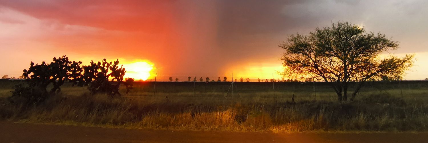 Boyo Thick & Juicy banner