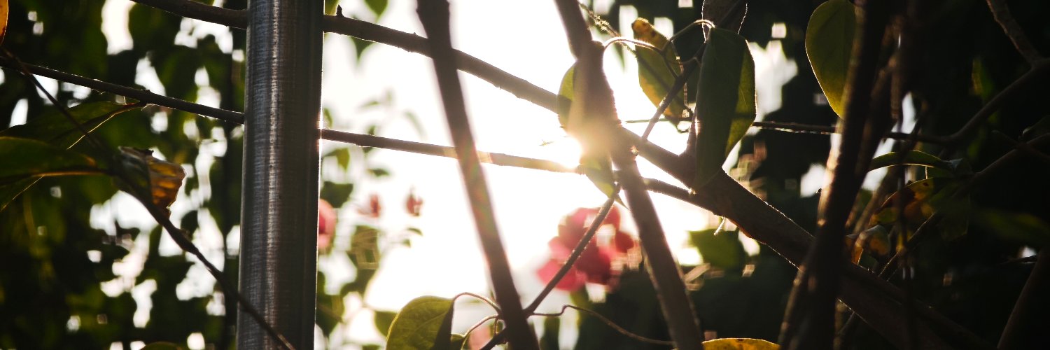 Golinamnwr's profile banner image