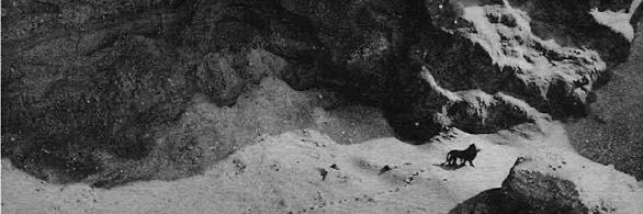 remusofvenus's profile banner image