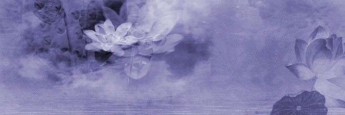 furipearls's profile banner image
