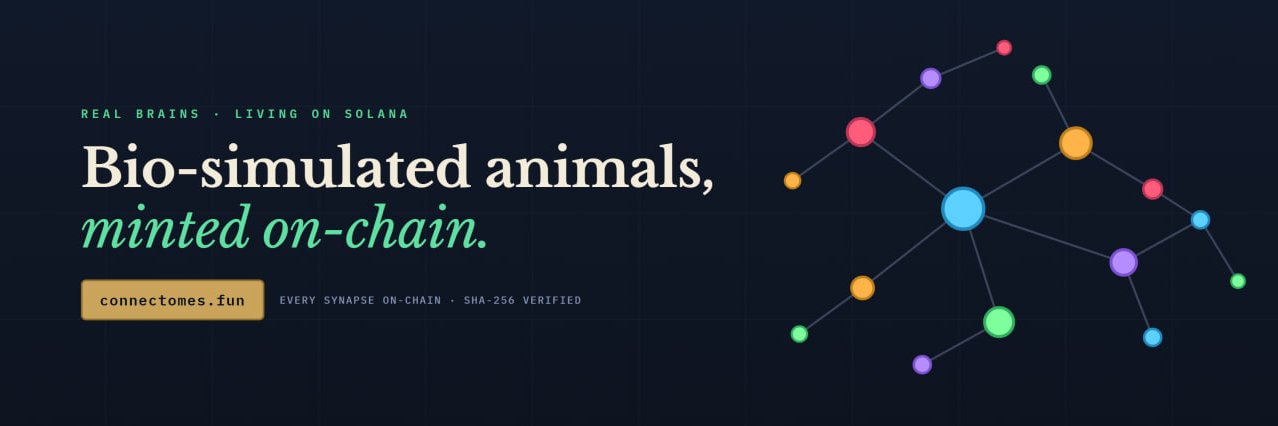 ConnectomesFun's profile banner image