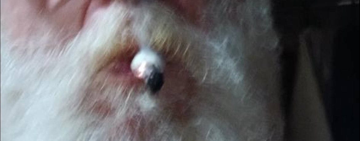 BarryAndrewww's profile banner image