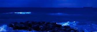 Sofiipbql's profile banner image