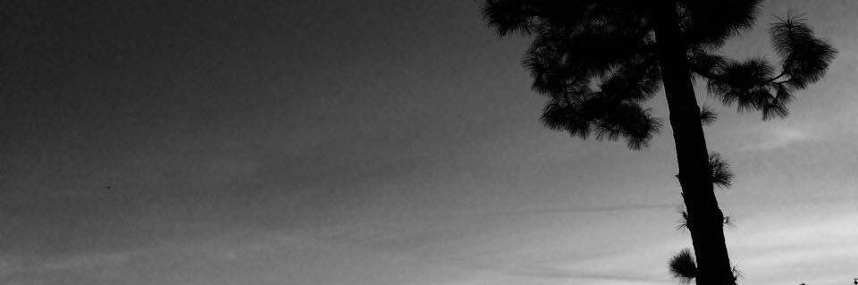 NXTLVLFM's profile banner image