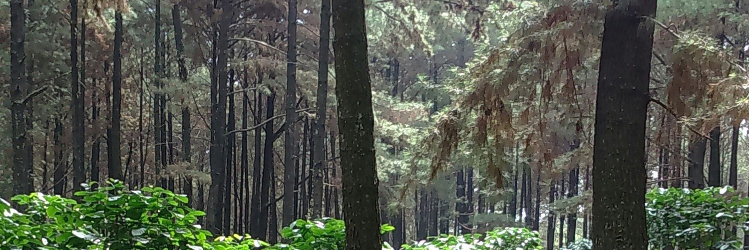 kitnaceda's profile banner image