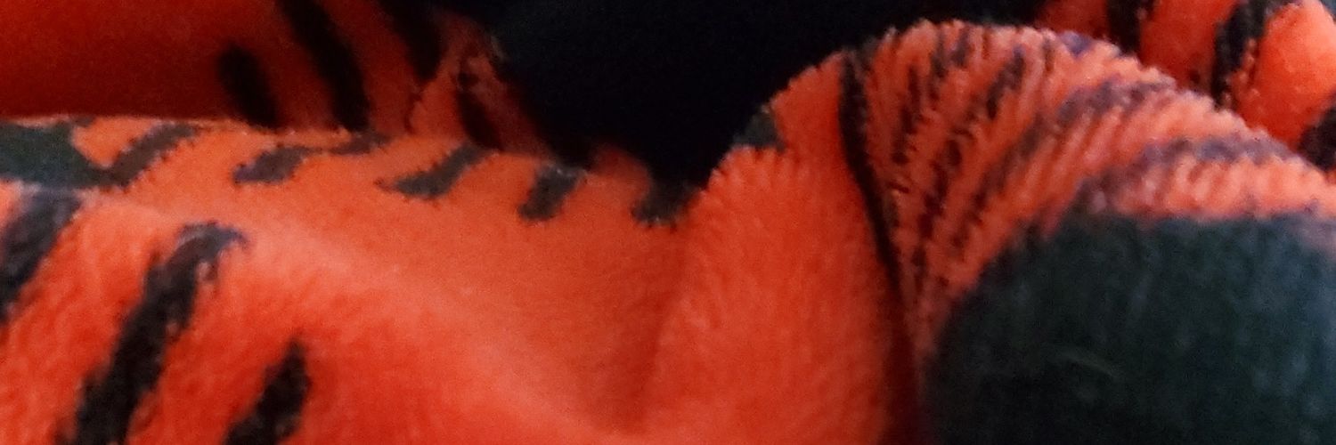 SLpassiondiva's profile banner image